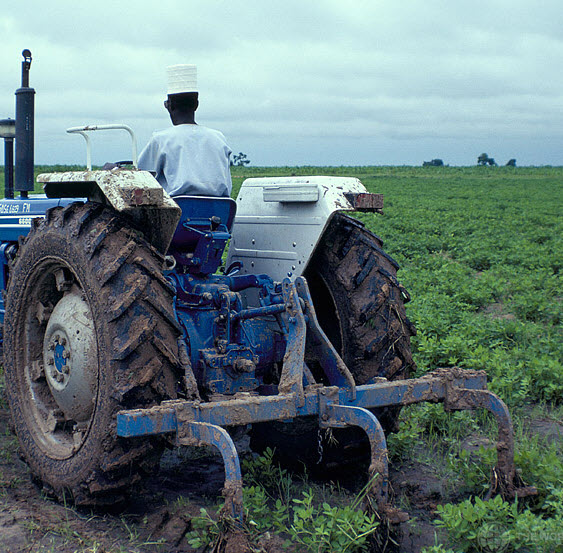 Image of Farming and Agriculture